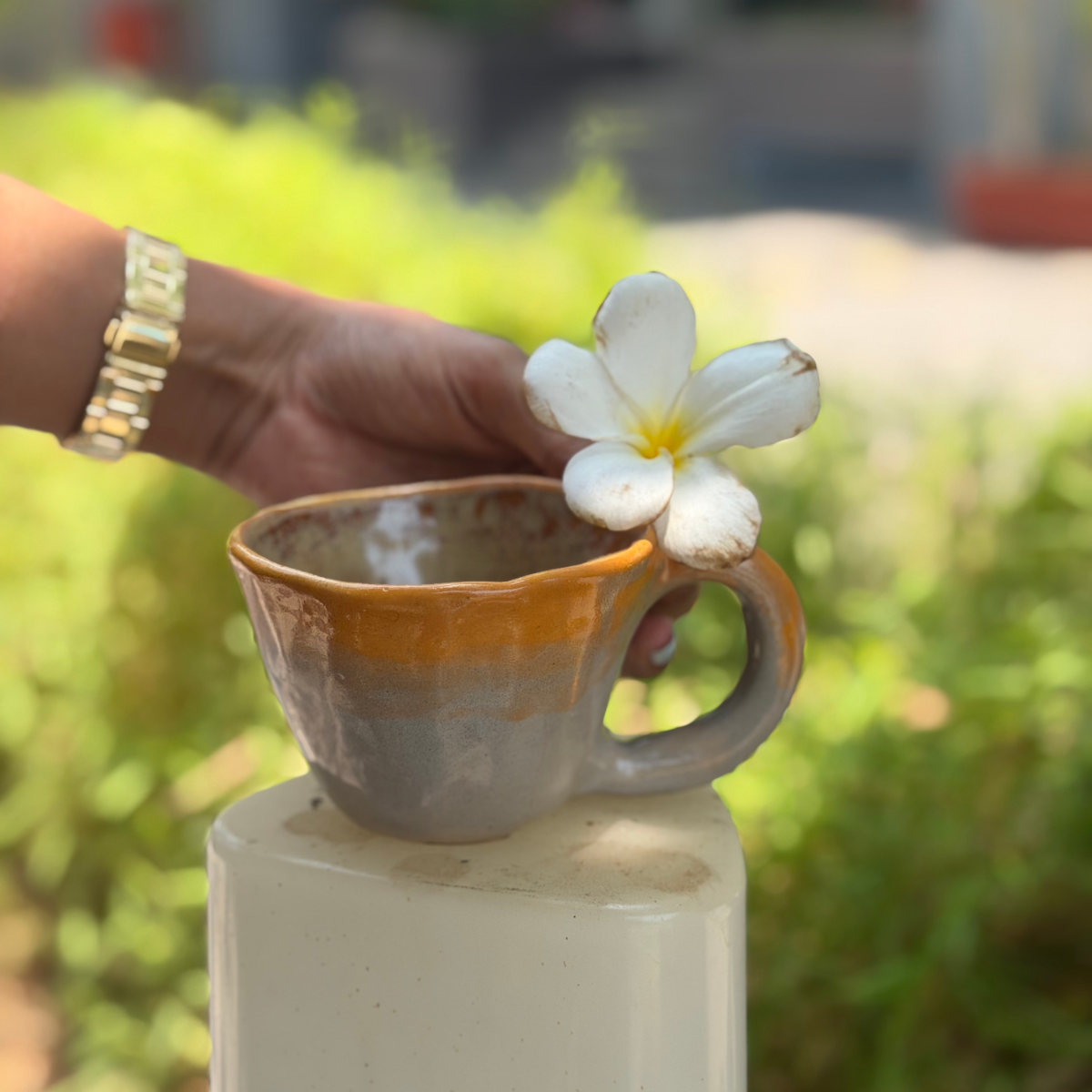 Orah Sip