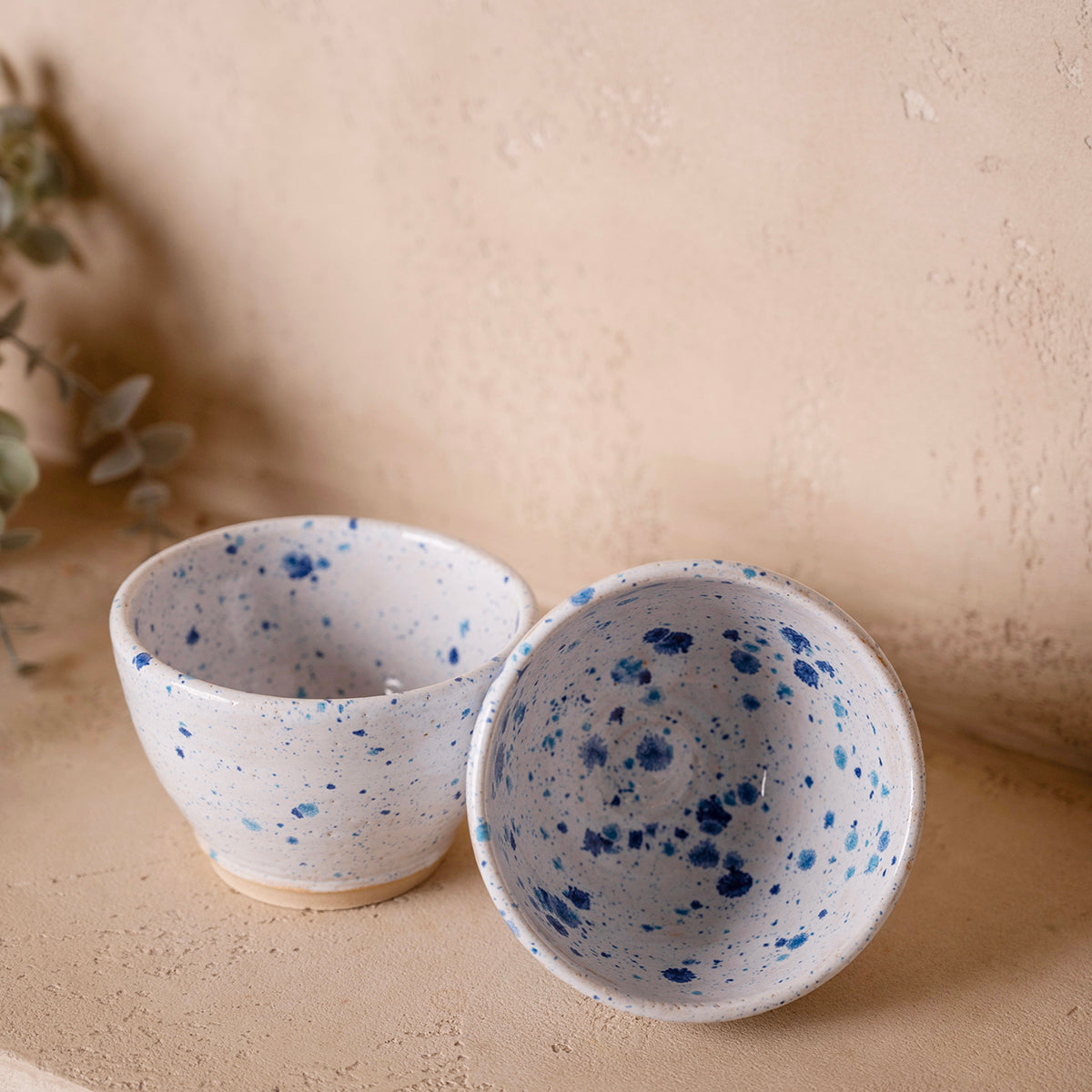 Soup bowl