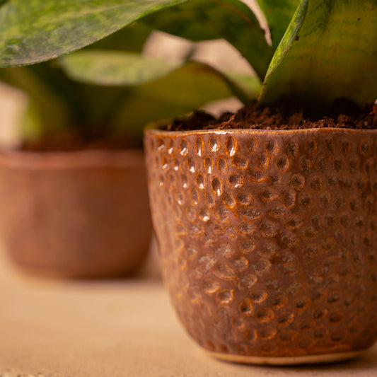 Planter